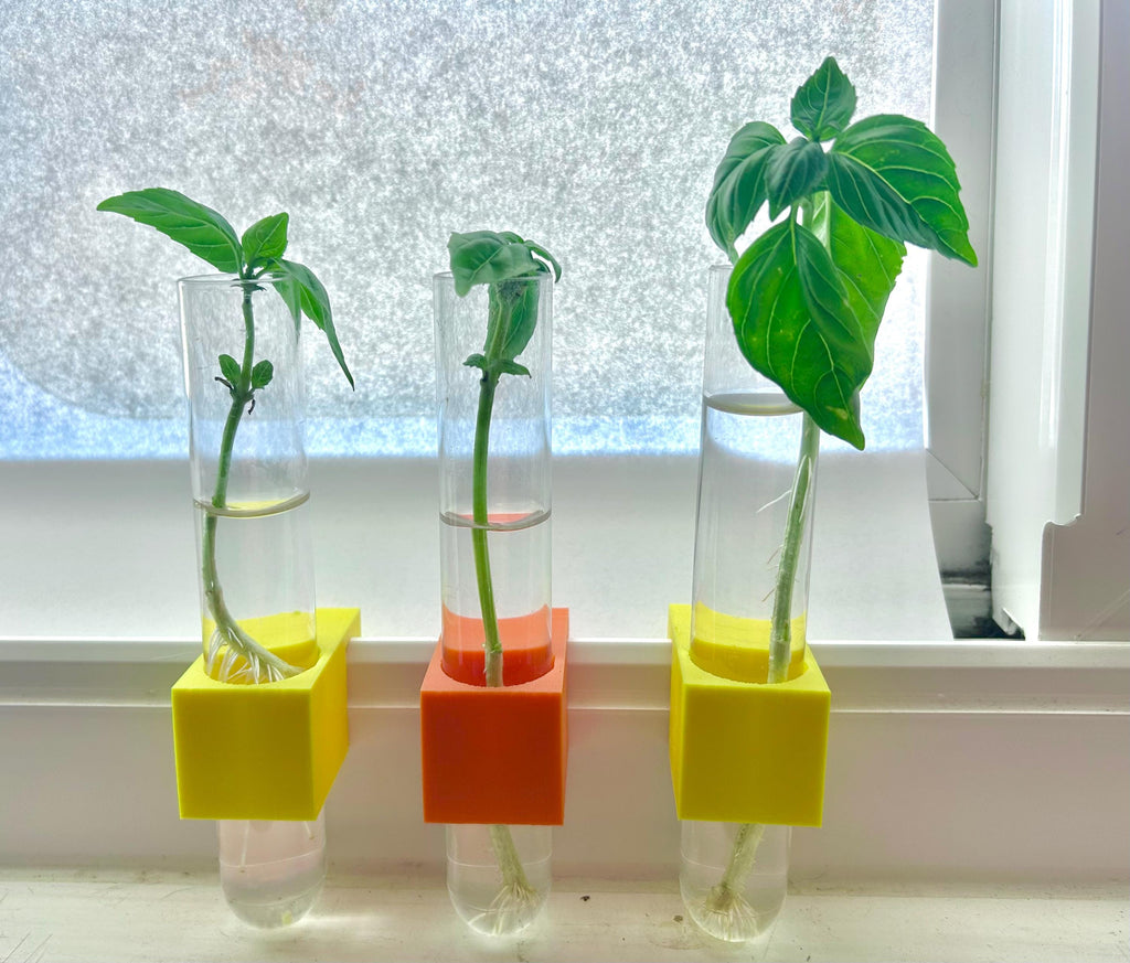 Plant Propagation Micro Vase for window sill - SET OF THREE - clips to modern vinyl windows - test tube for herbs flowers garden gifts
