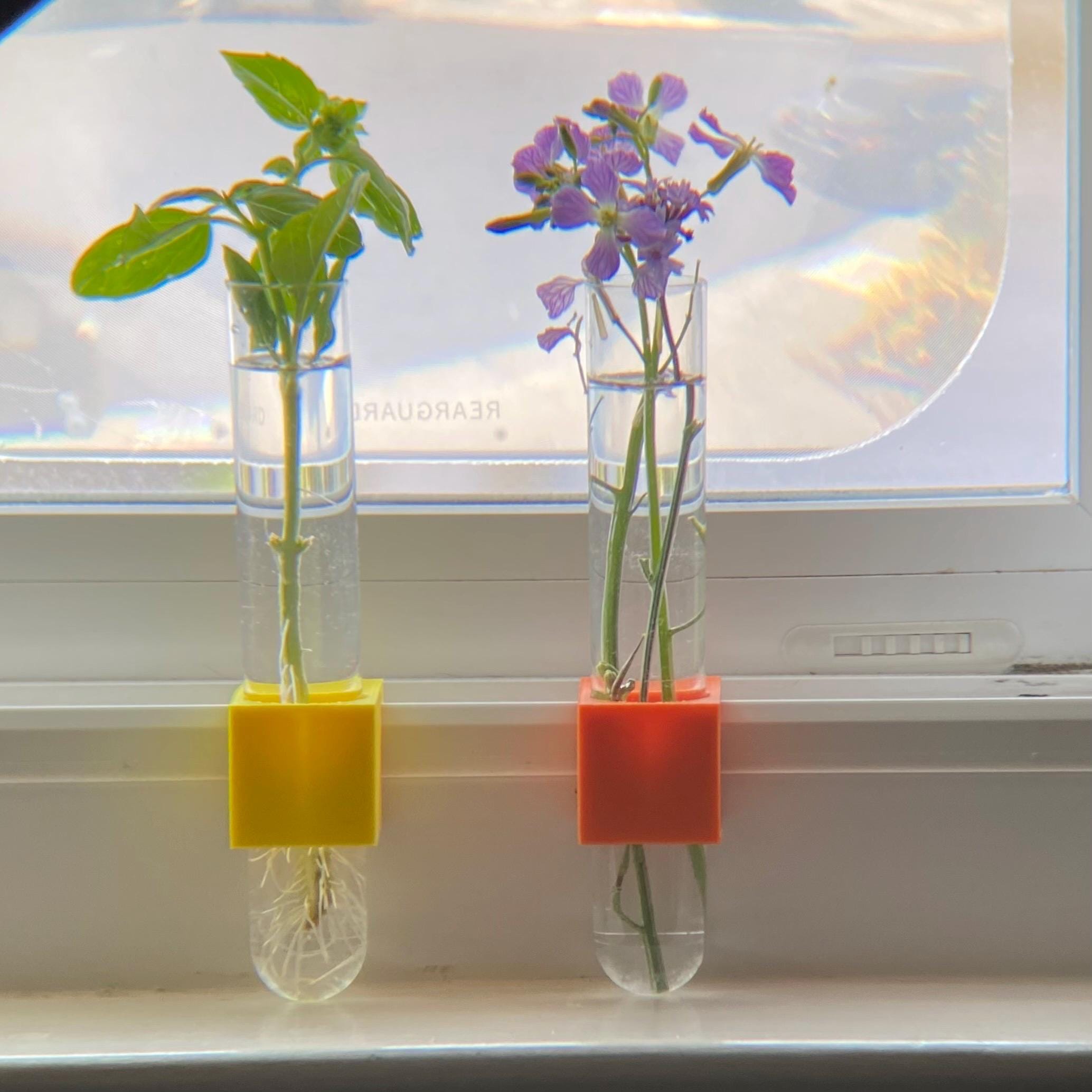 Plant Propagation Micro Vase for window sill - SET OF THREE - clips to modern vinyl windows - test tube for herbs flowers garden gifts