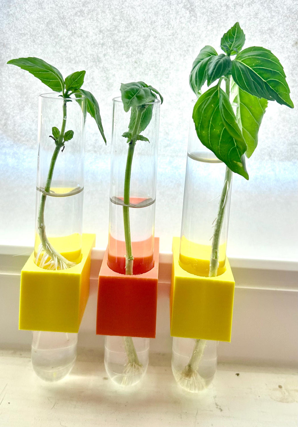 Plant Propagation Micro Vase for window sill - SET OF THREE - clips to modern vinyl windows - test tube for herbs flowers garden gifts
