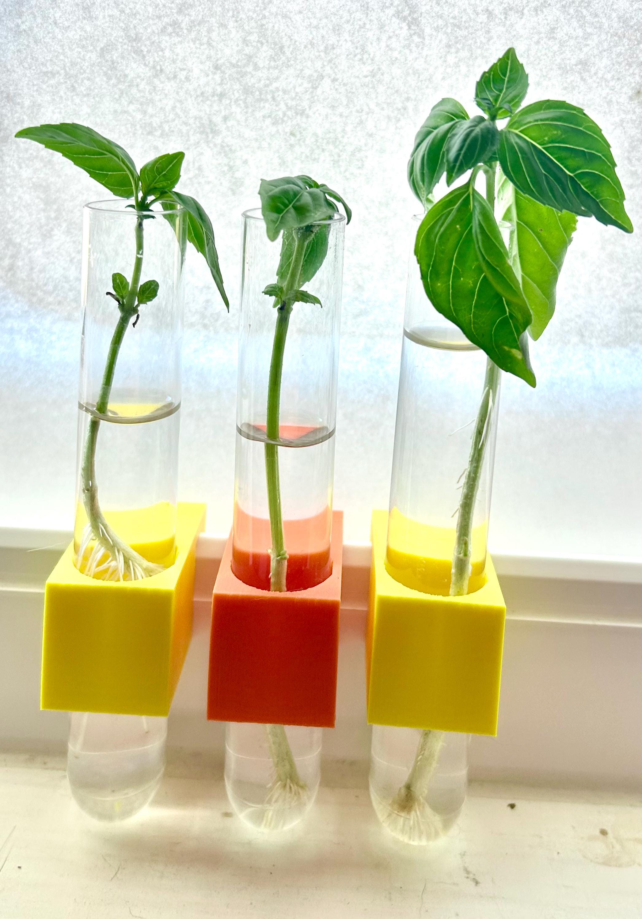 Plant Propagation Micro Vase for window sill - SET OF THREE - clips to modern vinyl windows - test tube for herbs flowers garden gifts
