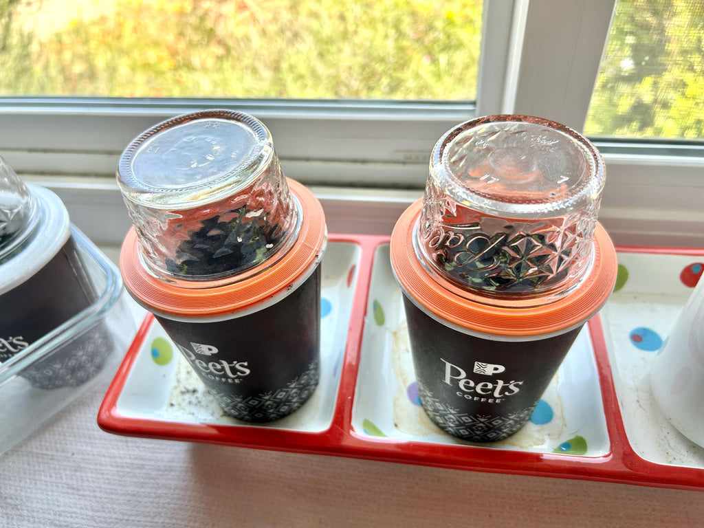 Coffee Cup Seed Starting Lids (Set of two) - Greenhouse Lids for disposable coffee cups